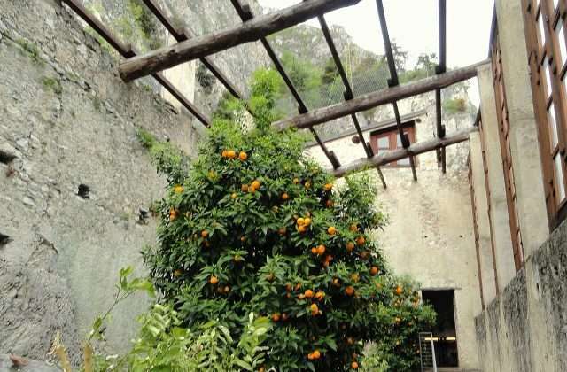Die alte Limonaia del Castel in Limone sul Garda mit den Zitronenanbau-Terrassen, typische Gardasee-Architektur