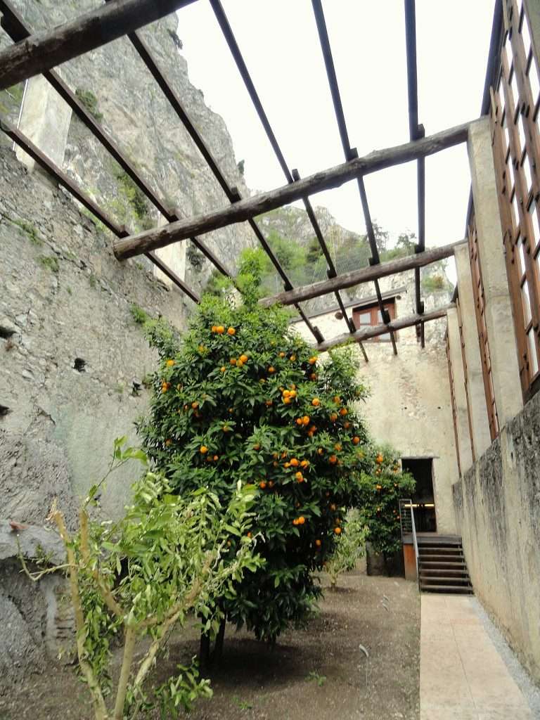 Limonaia sotto le Stelle — Limone sul Garda