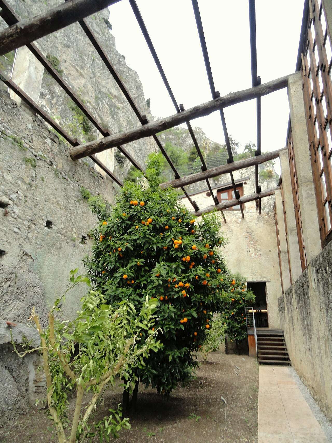 Casa del Limón del Castillo