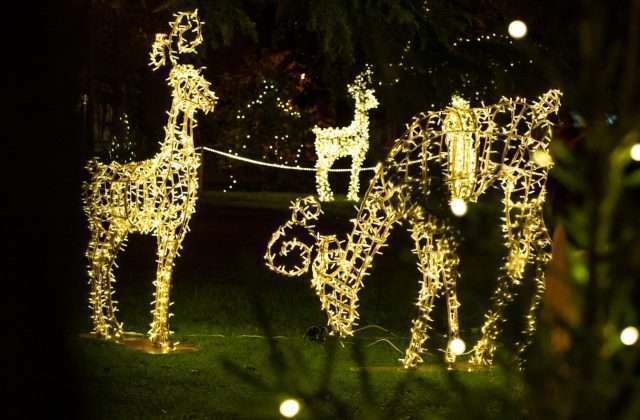 Weihnachtsmärkte am Gardasee 2026: Termine, Orte und Planung