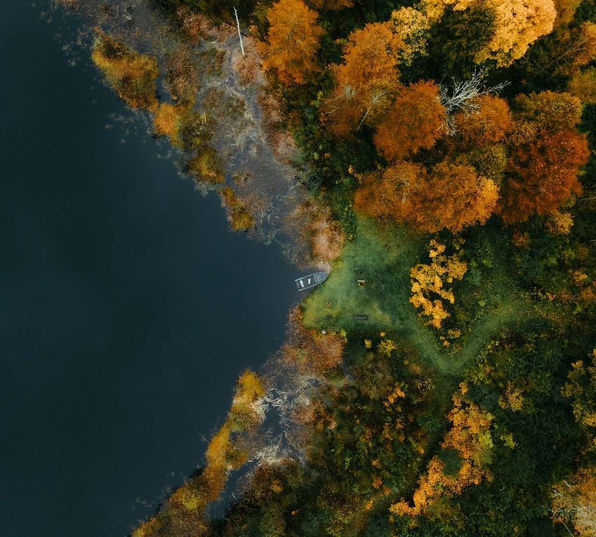 Lago circondato da alberi autunnali