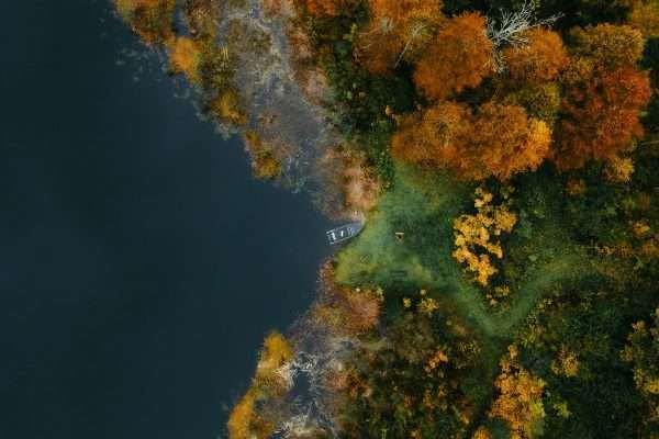 Meer omgeven door herfstbomen