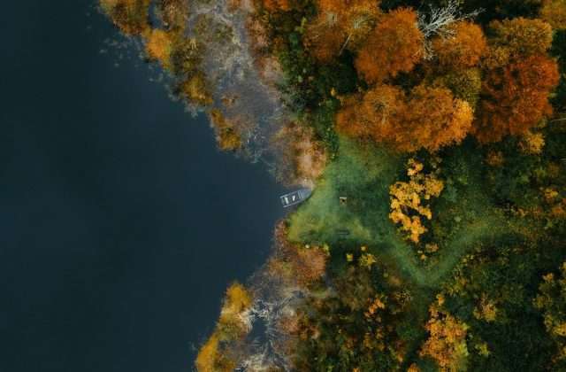 Meer omgeven door herfstbomen