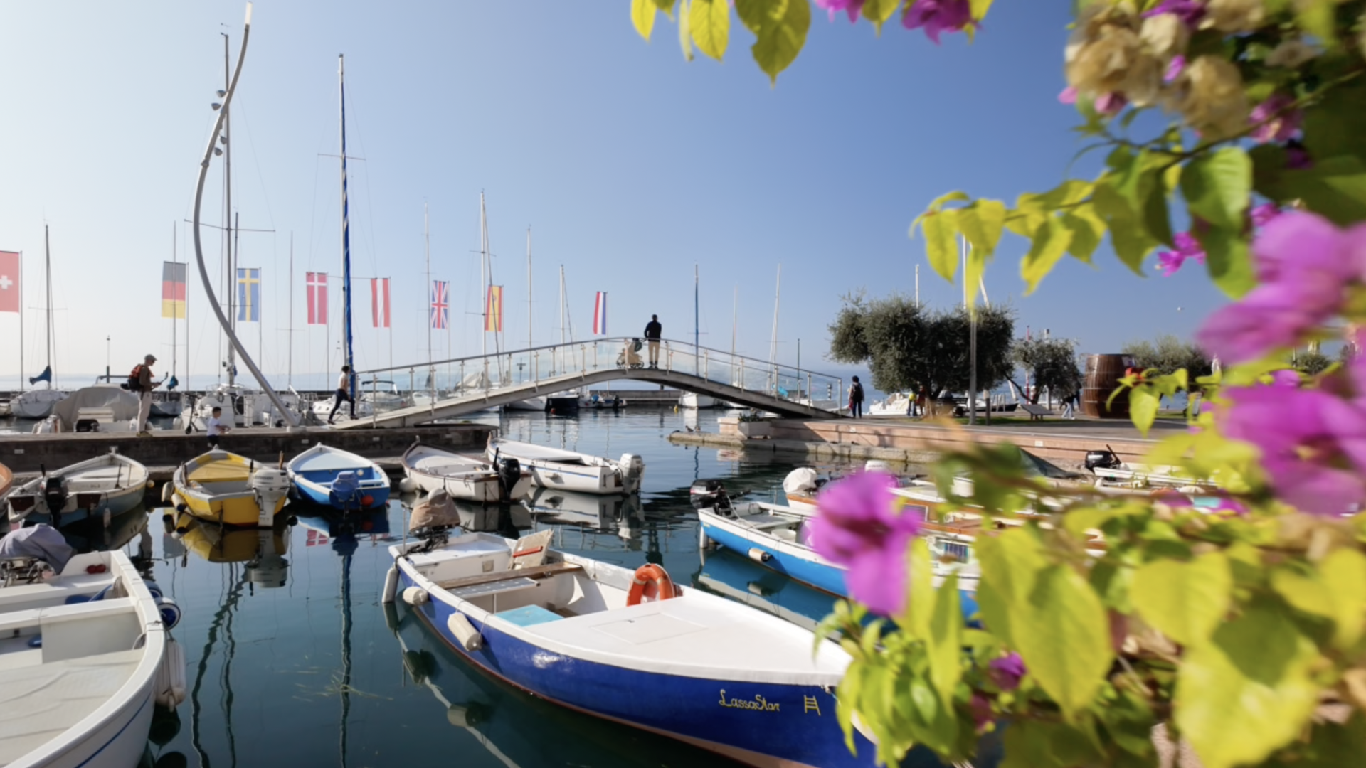 Bardolino