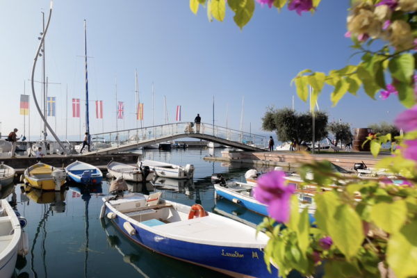 Bardolino