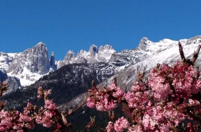 Dolomiti Brenta UNESCO