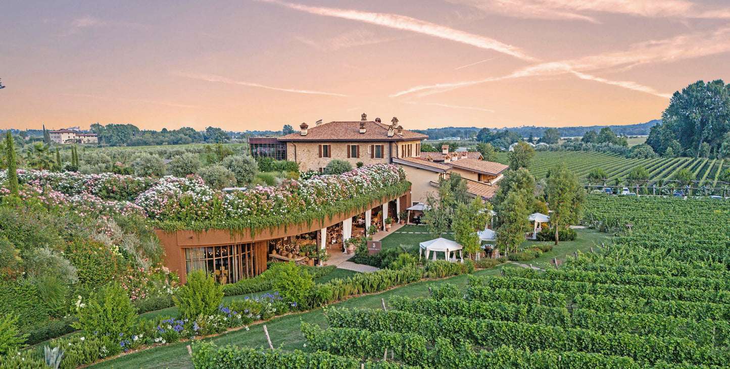 Cantina Conti Thun — Degustazione Vini Valtenesi – immagine 1