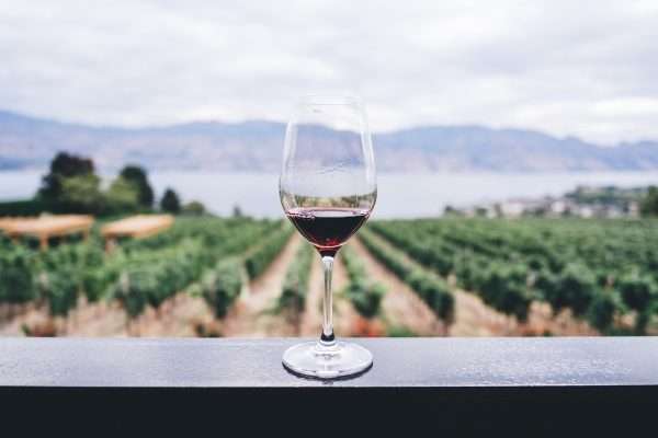 La Strada del Vino di Bardolino tra vigneti e cantine sulla sponda veronese