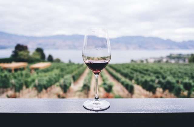 La Strada del Vino di Bardolino tra vigneti e cantine sulla sponda veronese