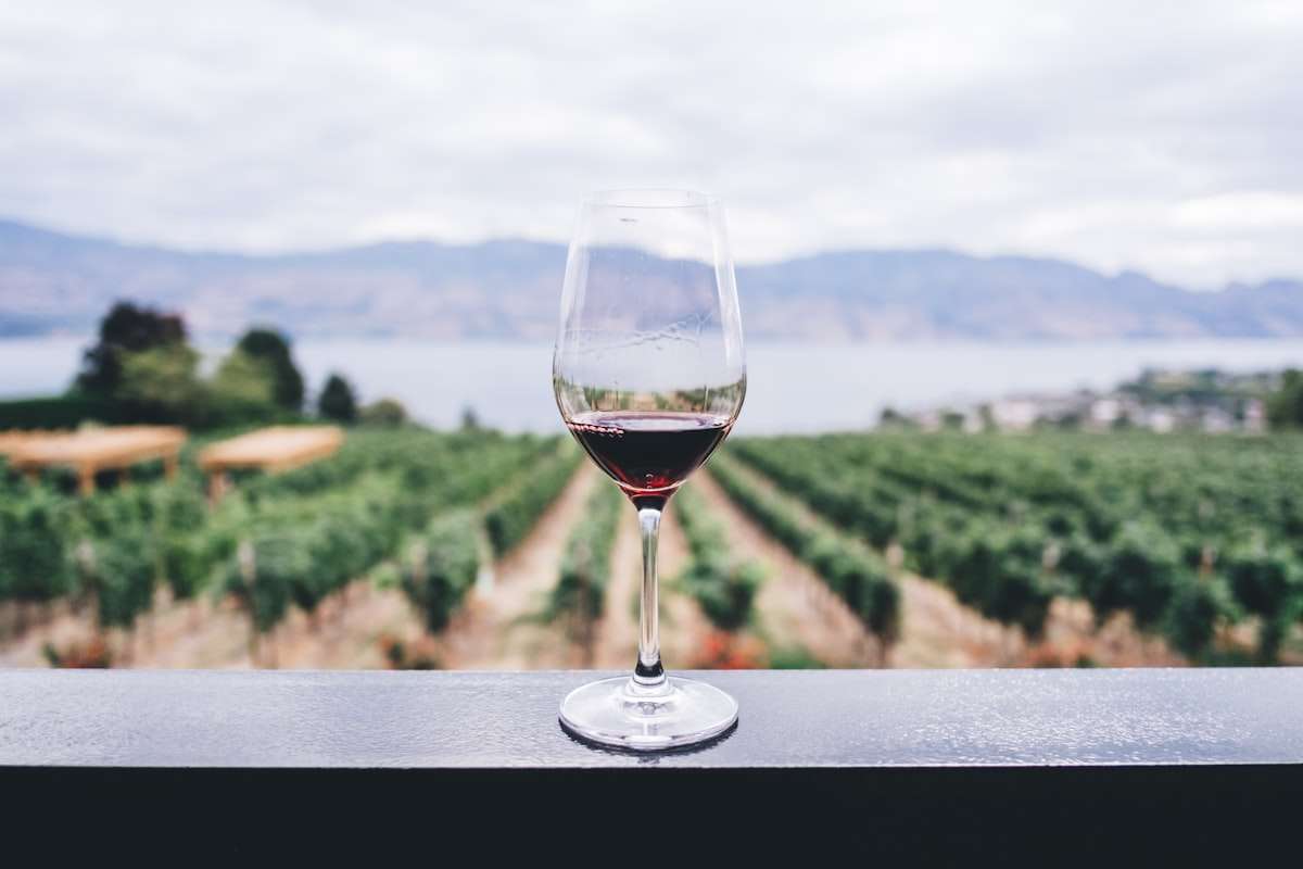 La Strada del Vino di Bardolino tra vigneti e cantine sulla sponda veronese