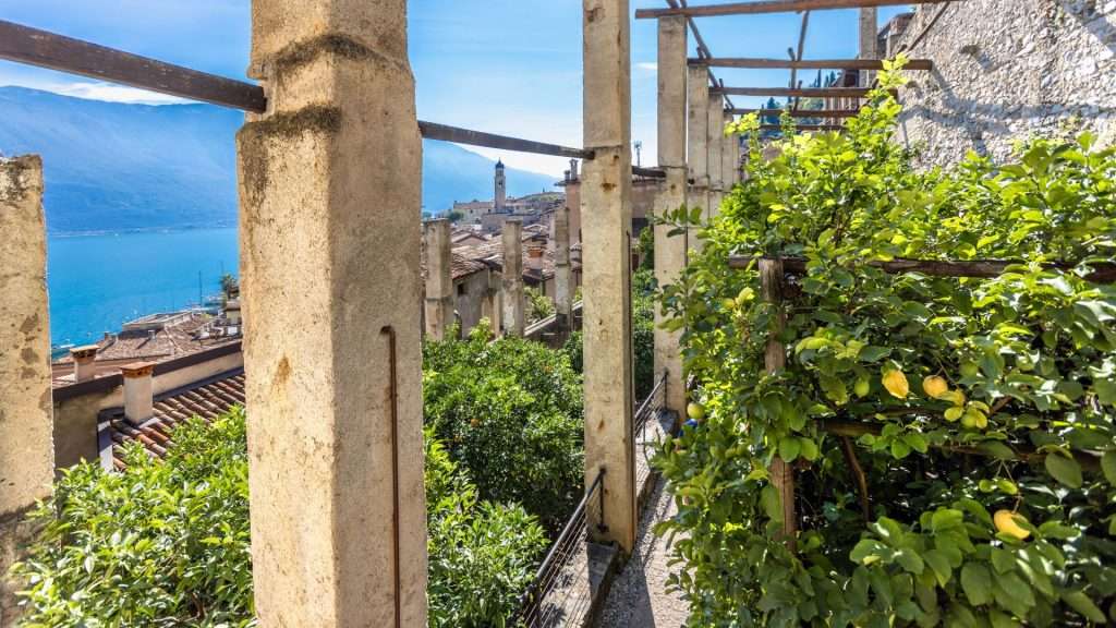Limonaie del Castel – immagine 1