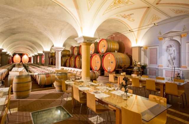 Museo del Vino