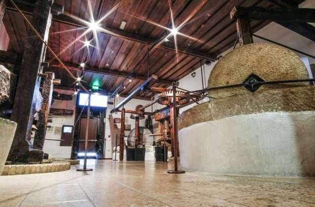 Museo dell’Olio d’Oliva