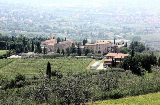 Museo del Vino Bardolino — Viñedos