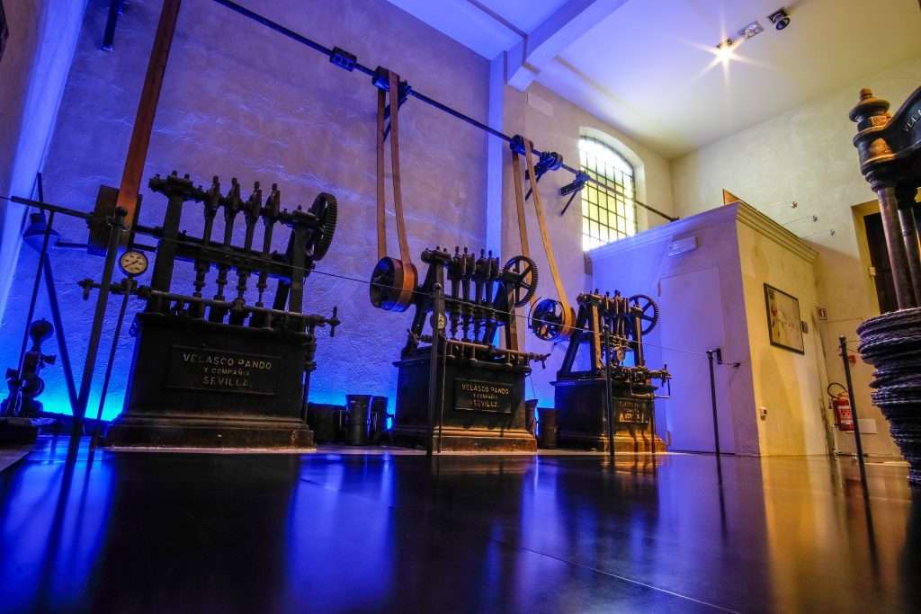 Museo dell'Olio d'Oliva – immagine 8