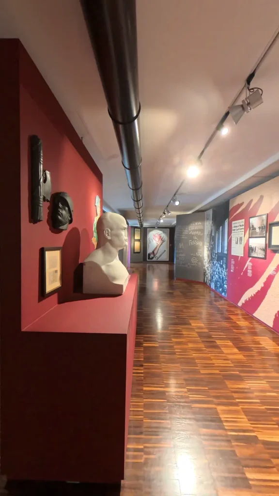 MuSa - Museo di Salò – immagine 14