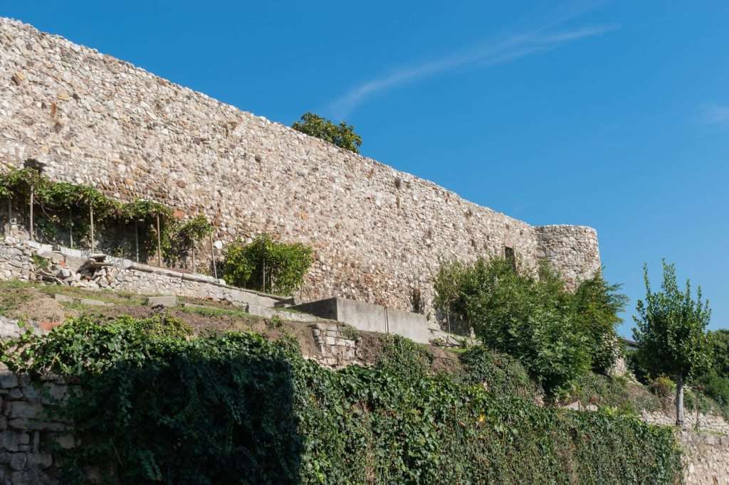 Castello di Desenzano – immagine 2