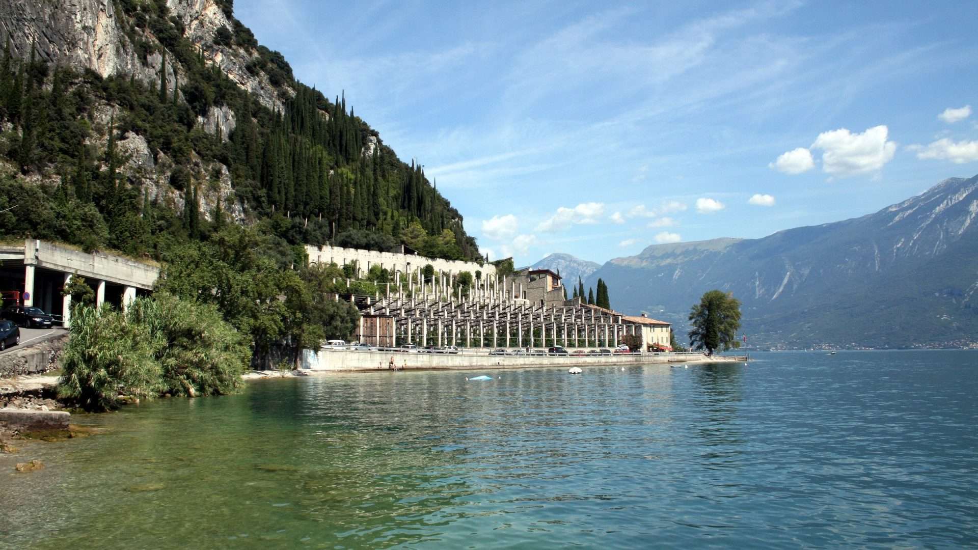 Limonaia La Malora