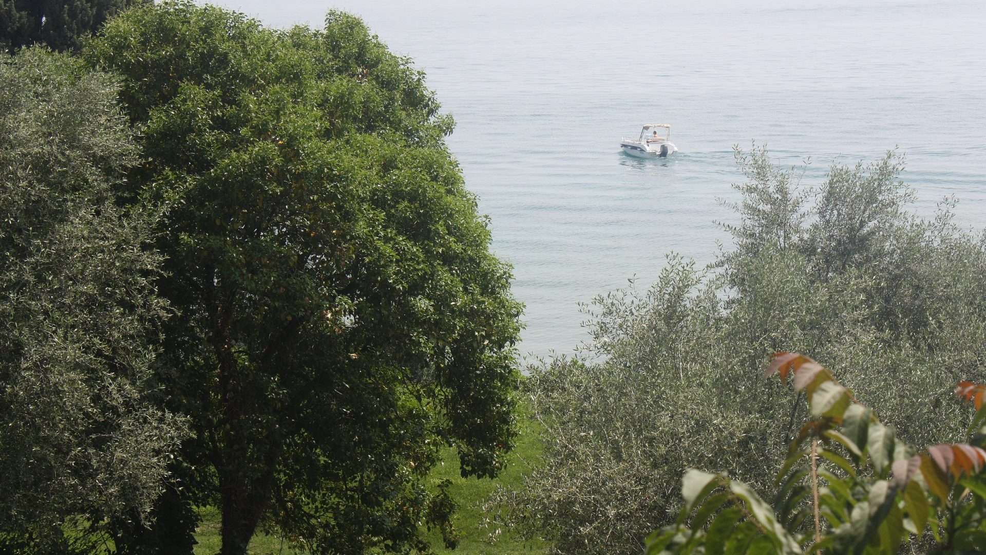 Punta San Vigilio