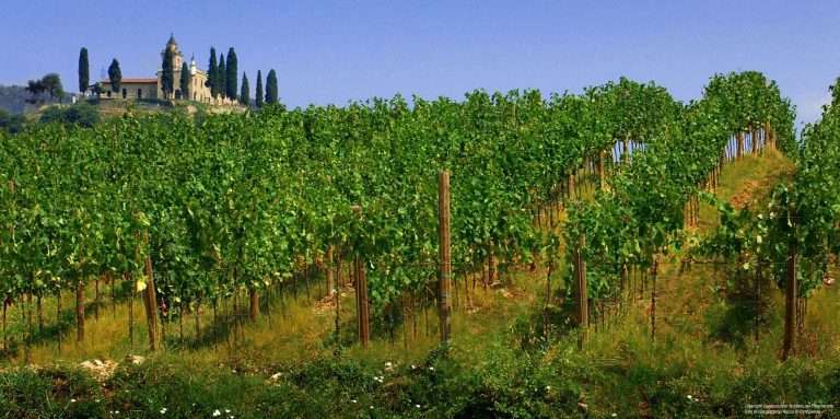 Vigneti del Groppello