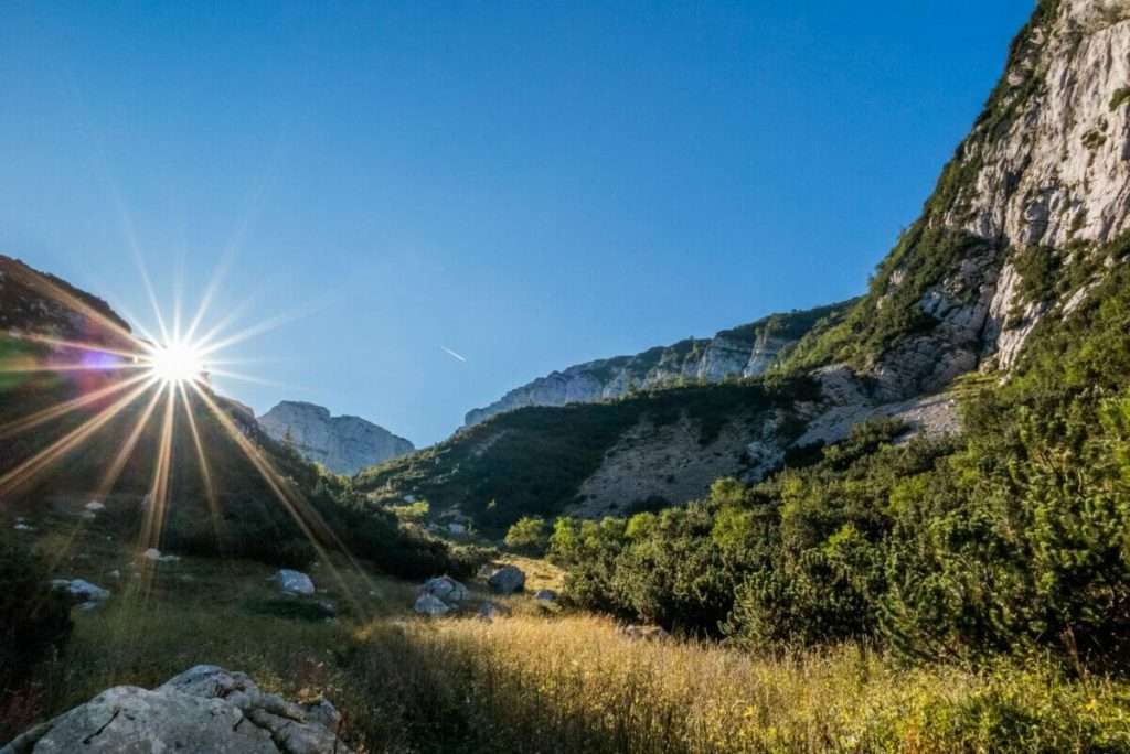 Sentieri tra Vigneti e Uliveti – immagine 1