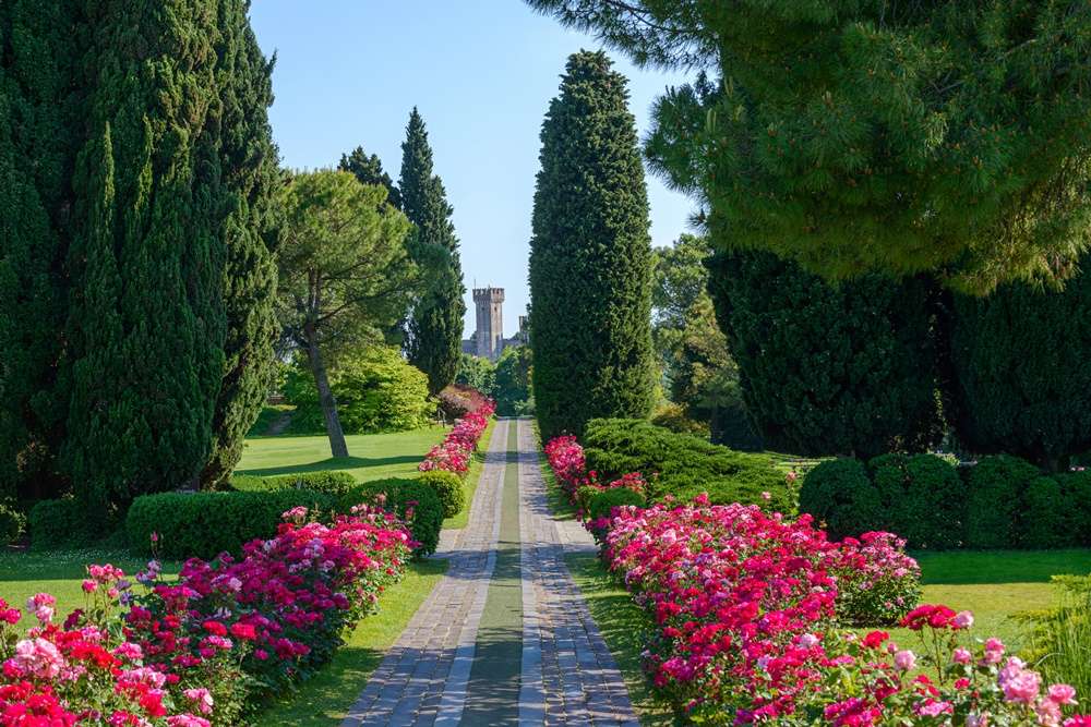 Parco Giardino Sigurtà – immagine 3