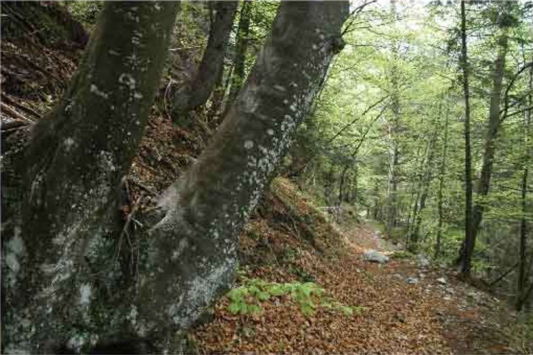 Na Szlaku Tropów – immagine 5