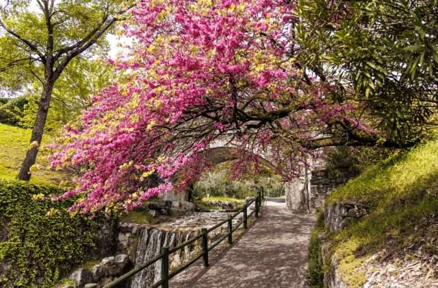 El Sendero en la Naturaleza