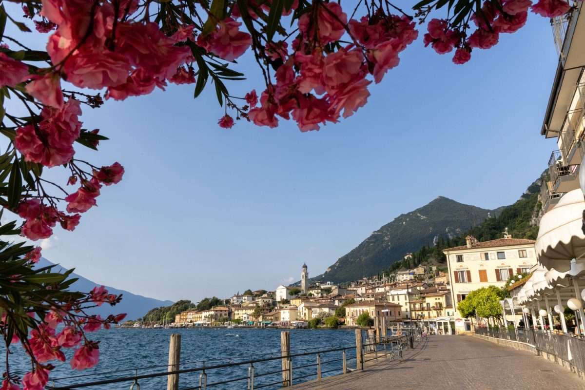 Among lemon groves, olive groves and ancient churches – immagine 6