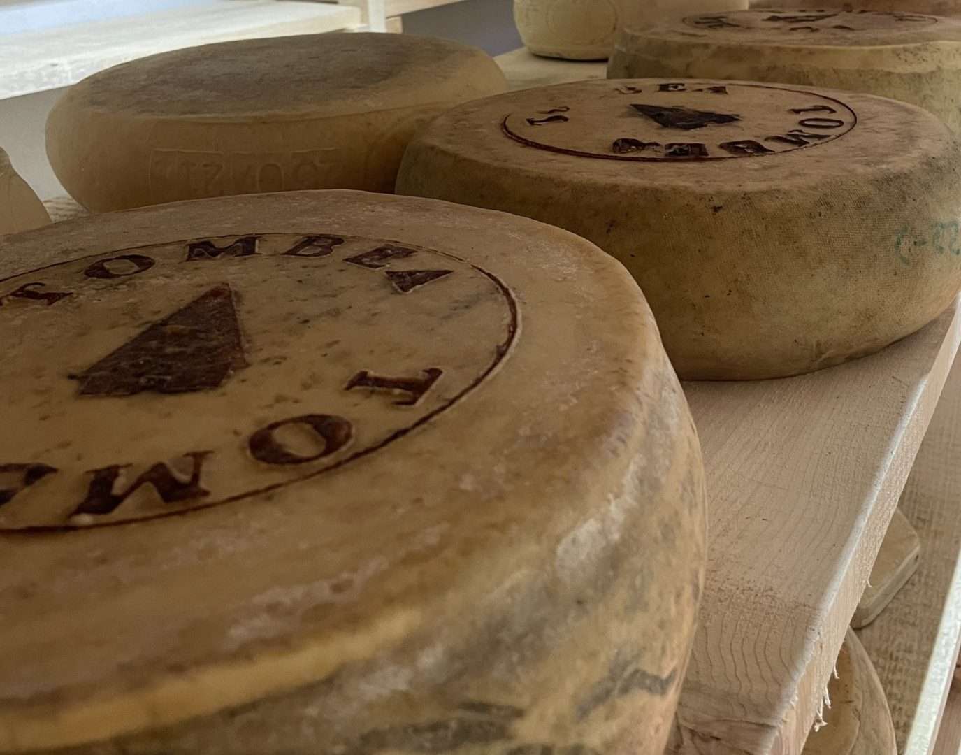 Where Tombea’s cheese is made – immagine 2