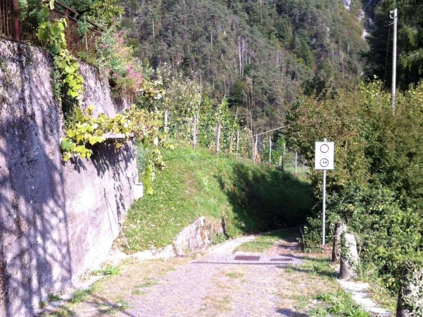 Die Berufe von einst – immagine 6