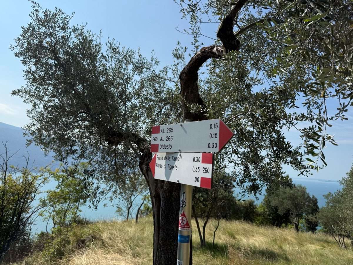 De la casa del limón Pra dela Fam en Gardola – immagine 7