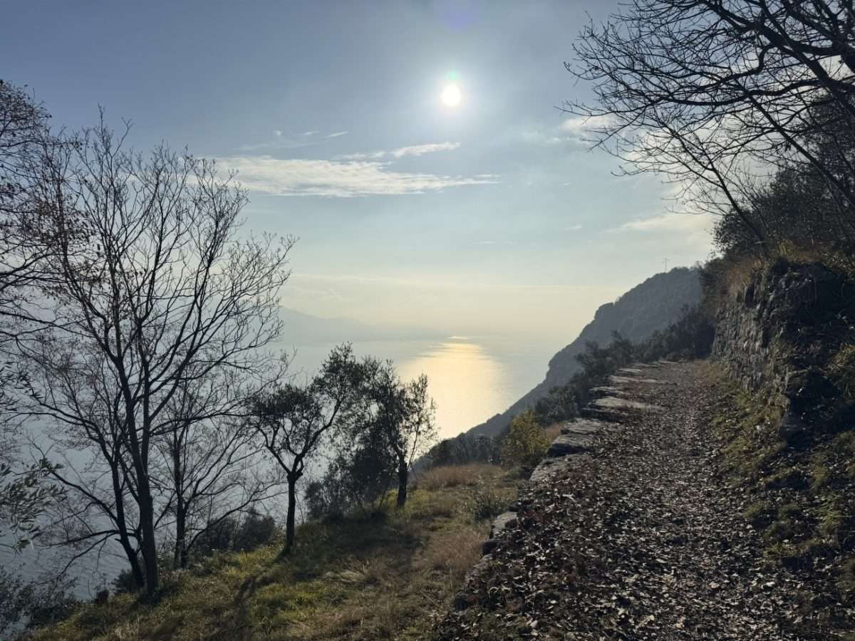 Panoramen und Eichen – immagine 5