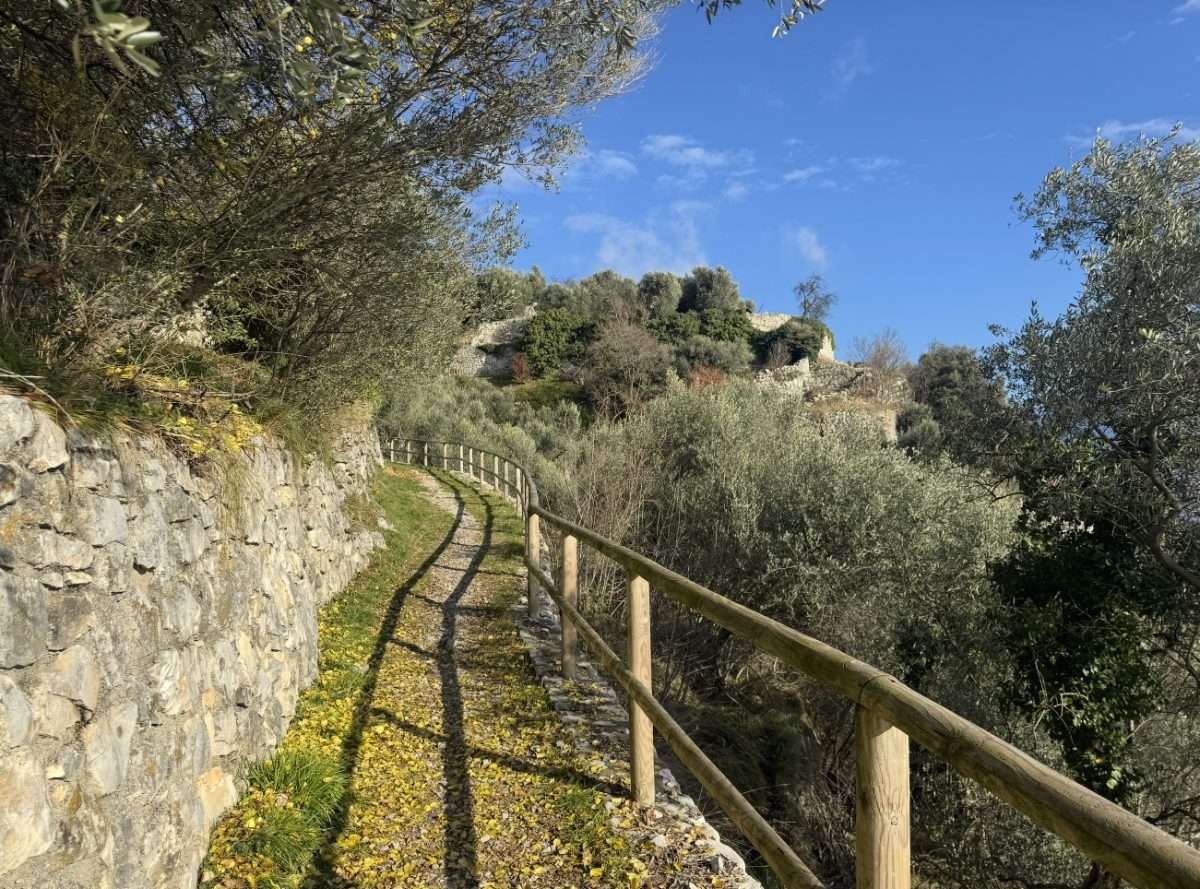 Panoramen und Eichen – immagine 7