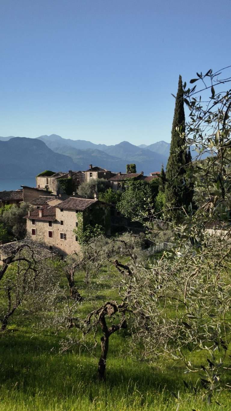 Campo de Brenzone