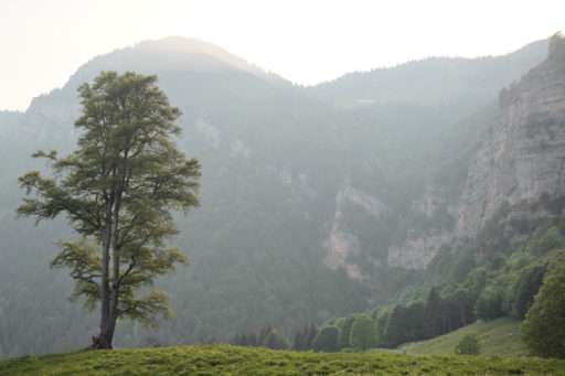 GranGarda Bikepacking – immagine 5