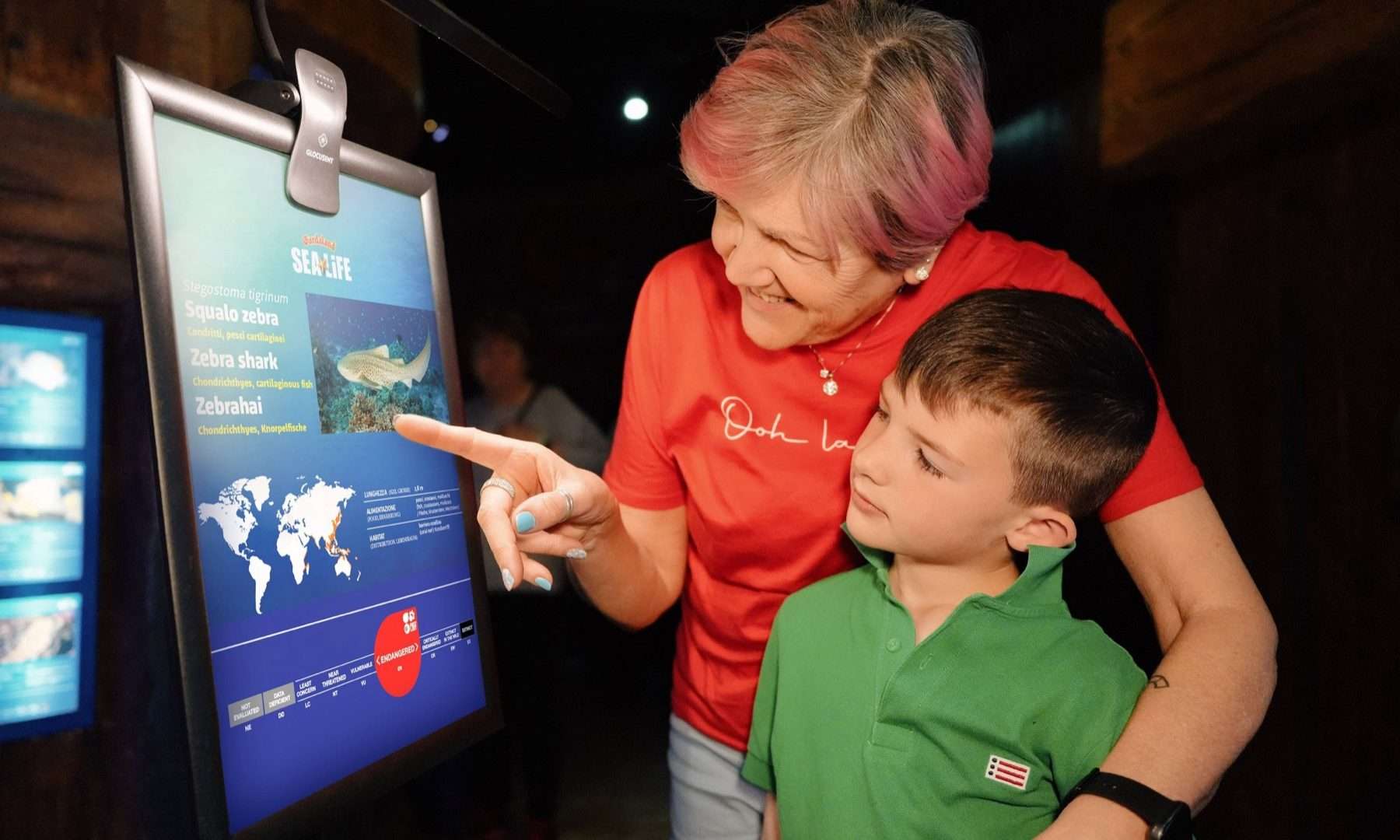 Una nonna e il nipote davanti a un pannello sullo squalo zebra al Gardaland SEA LIFE Aquarium