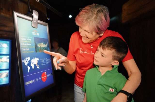 Una nonna e il nipote davanti a un pannello sullo squalo zebra al Gardaland SEA LIFE Aquarium
